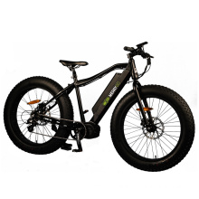 Chinese Factory 26" 48V 350W Paladin Electric Mountain Bicycle